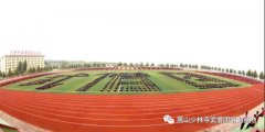 延鲁武校41名学员有望代表祖国,征战奥运会